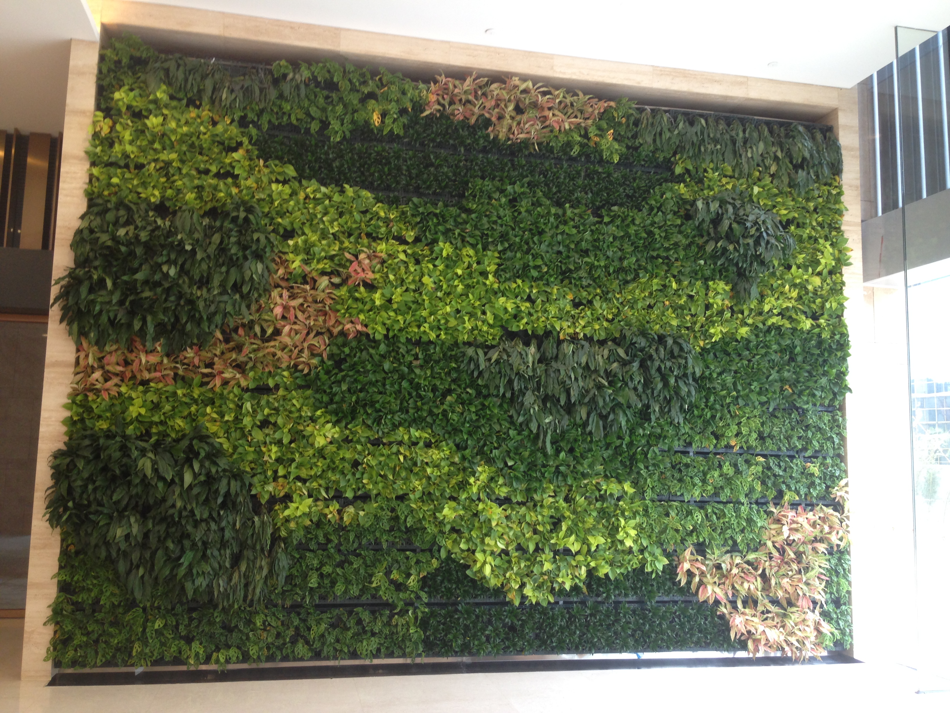 深圳市江南园艺仿真植物墙厂家图片_高清图